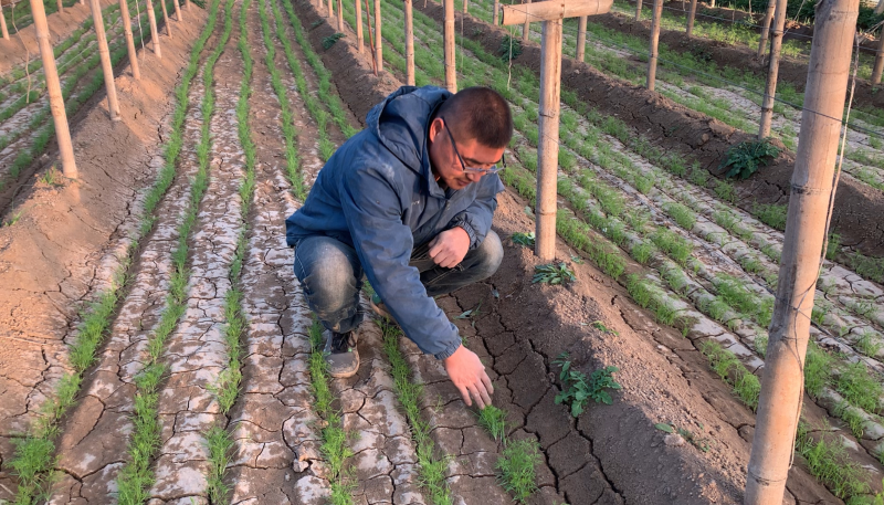 救災(zāi)應(yīng)急貸1 救災(zāi)應(yīng)急貸1